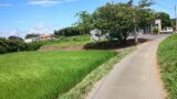 売買_【土地】住宅用地 画像1