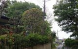 売買_【土地】住宅用地 画像4