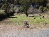 売買_【土地】事業用地 画像11 売買_【土地】事業用地 画像11